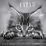 Calendario 2019 Alpha Edition 30 x 30 cm. Gatti. Cats by Sabine Rath